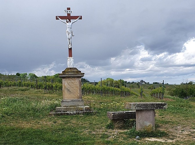 Point de vue sur l'Altenberg