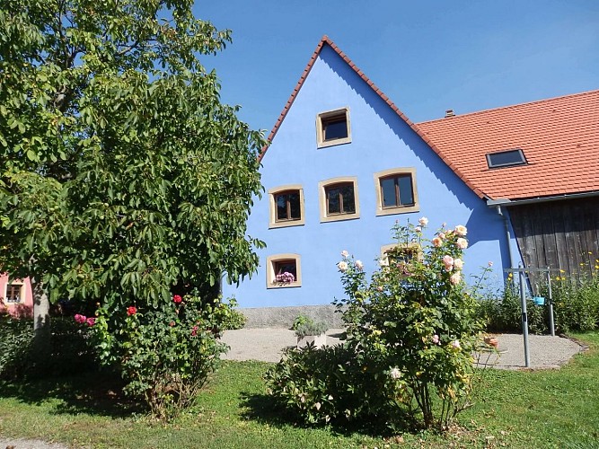 Meublé La vie en bleu 1 - Hubert FRICK