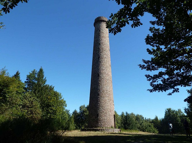 Massif du Grand Wintersberg, tour panoramique de 25m de hauteur, Niederbronn-les-Bains, Alsace