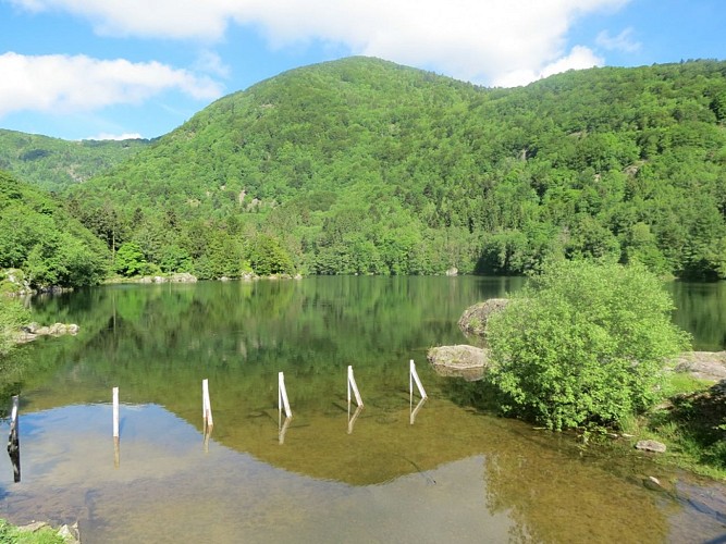 Barrage du lac d'Alfeld