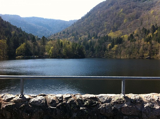 Lac d'Alfeld