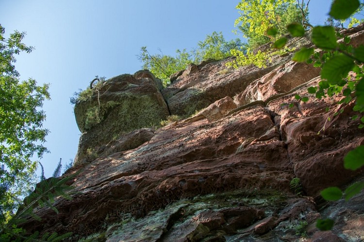 Der Regionale Naturpark der Nordvogesen