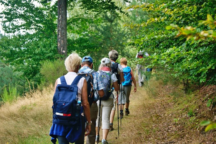 The Regional Nature Park of the Northern Vosges