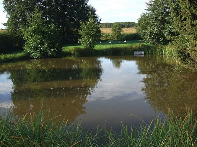 Meublé de Monsieur François TREIBER : Chalet Lindenhag