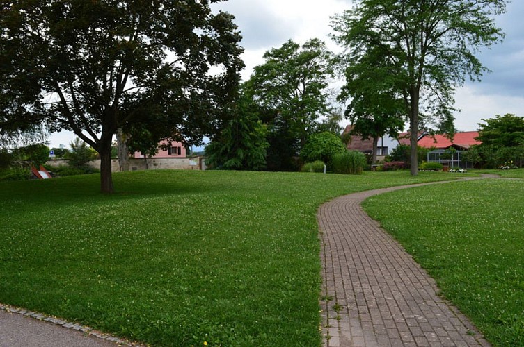 Jardins de plantes médicinales