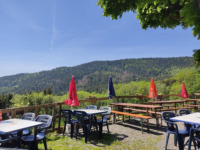 Berggasthof Riesenwald