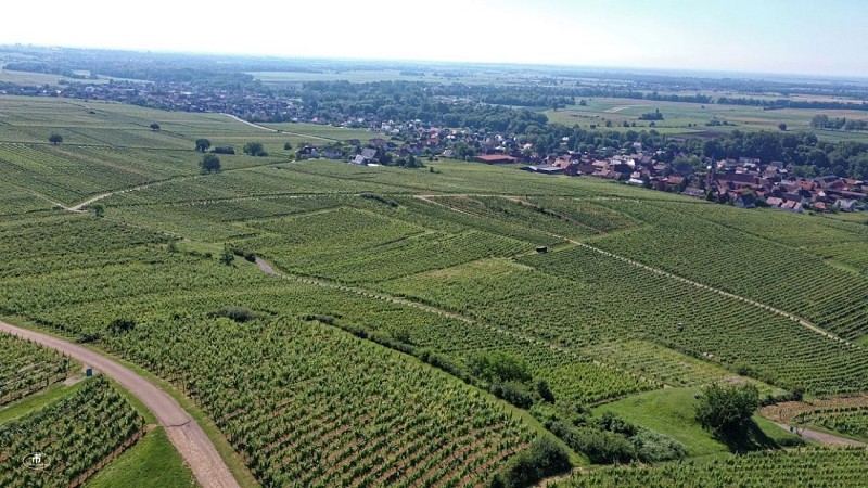 Point de vue de la colline du Horn à Wolxheim