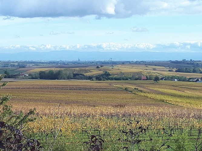 Viewpoint of the Horn Hill