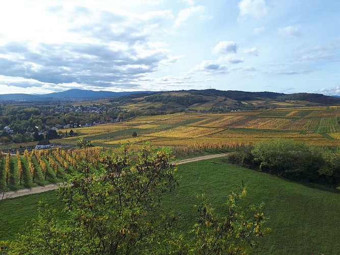 Viewpoint of the Horn Hill