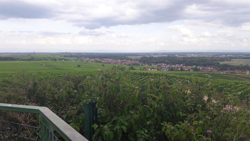 Point de vue depuis la colline du Horn à Wolxheim