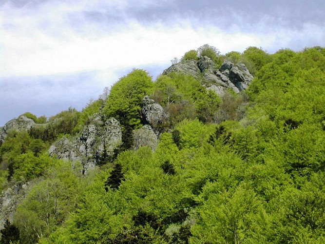Nature reserve of the Forest of Volcanoes and Vogelsteine