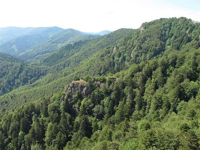 Nature reserve of the Forest of Volcanoes and Vogelsteine