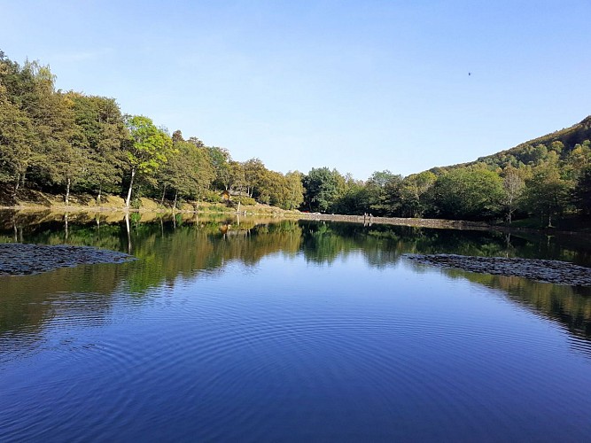 The Lachtelweiher lake