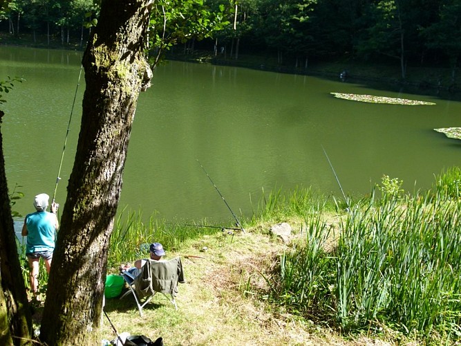 The Lachtelweiher lake