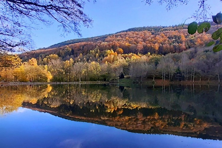 Lac du Lachtelweiher