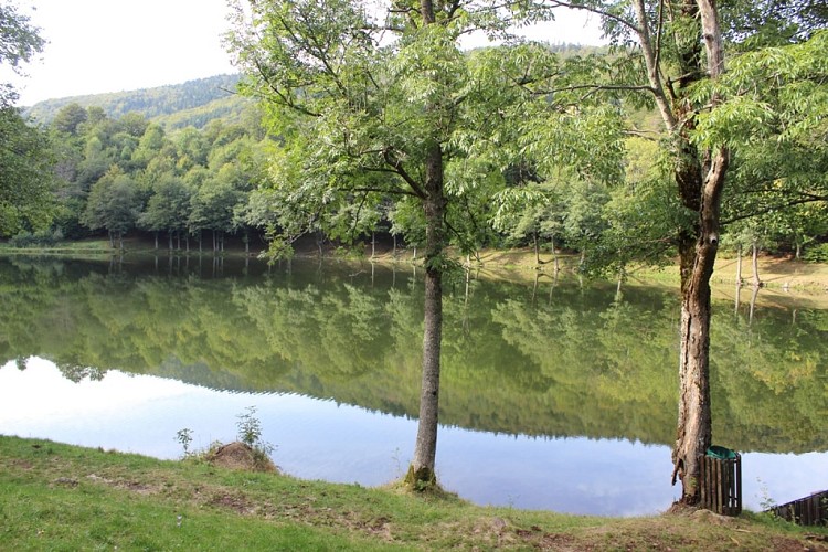 Lac du Lachtelweiher