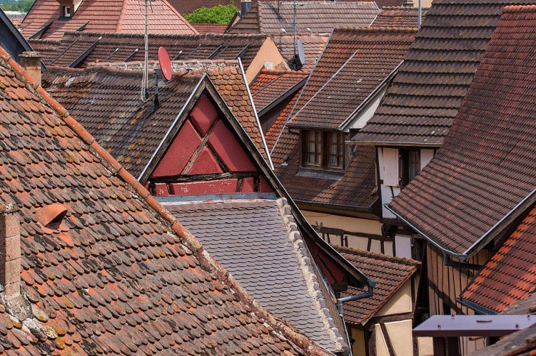 Meublé La Grange de Madeleine - Famille DELEMER