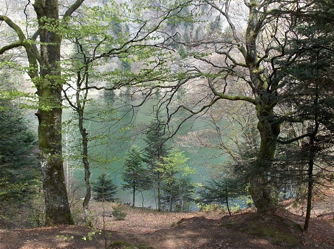 Pêche au lac des Perches