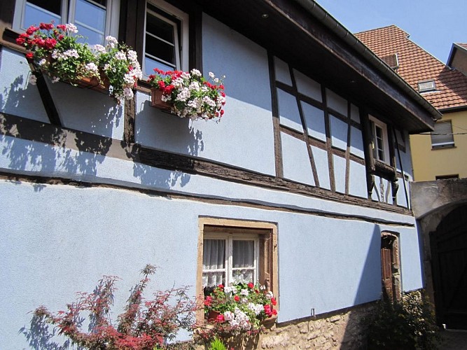 vue extérieure du Gîte de cep et de Grès à Mutzig