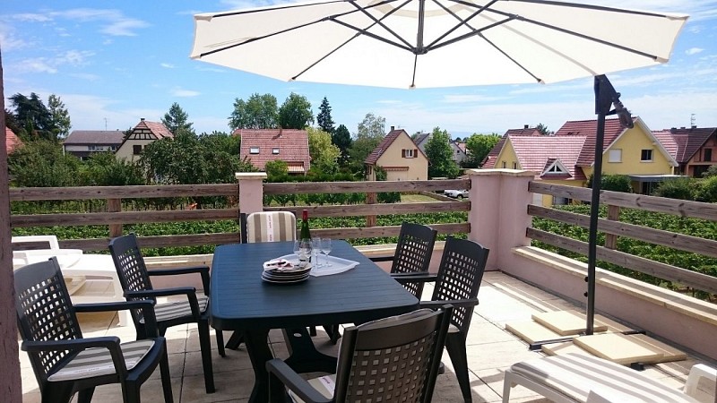 Meublé Côté Cépages - Suzanne BUTTERLIN