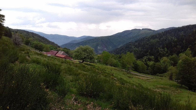 Ferme auberge du Grand Langenberg