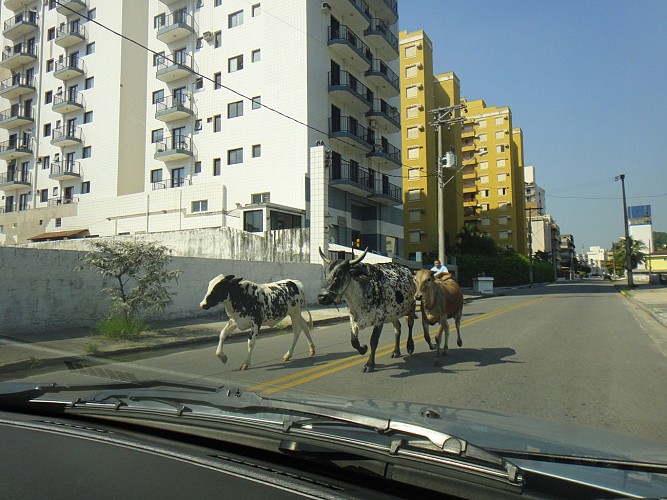 Arrivée à Guaruja 