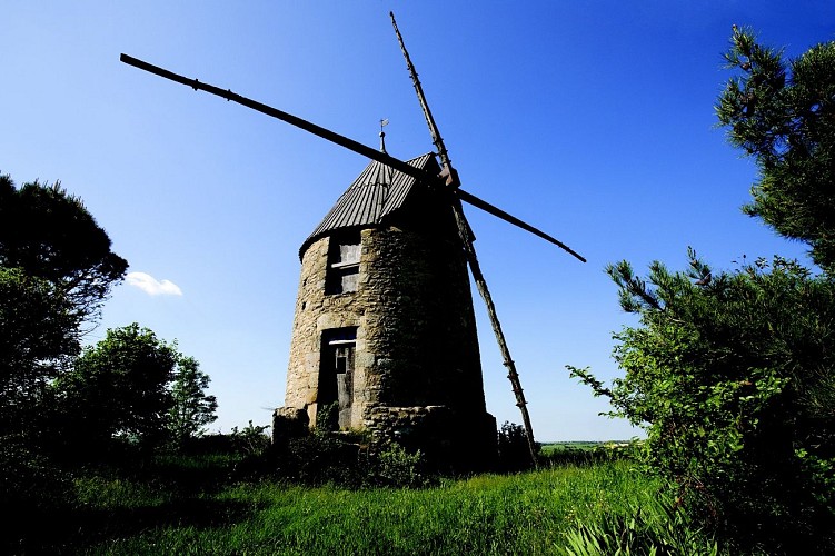 moulin_Mourvilles JL SARDA