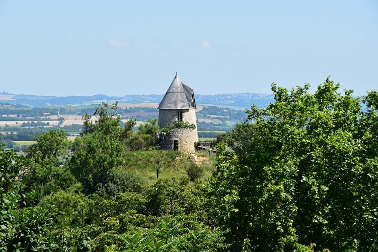 3-moulins-Stfelix_2018-OTI-1050-750