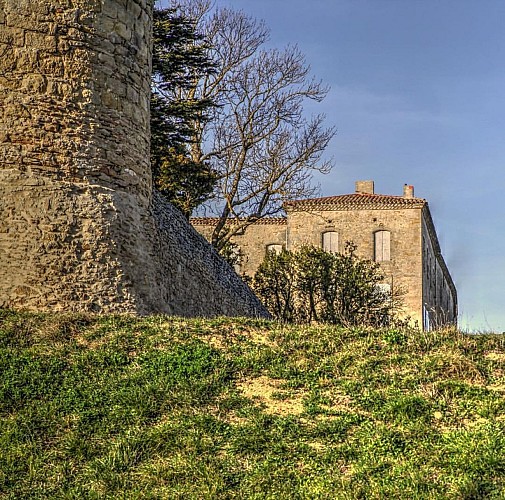 CHATEAU DE SAINT-FELIX