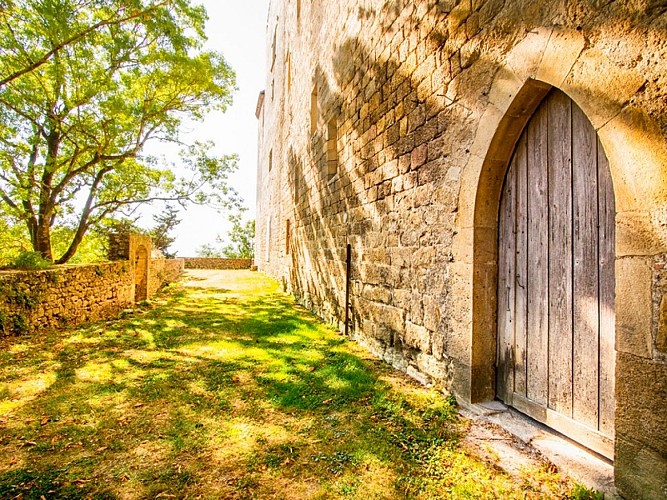 CHATEAU DE SAINT-FELIX