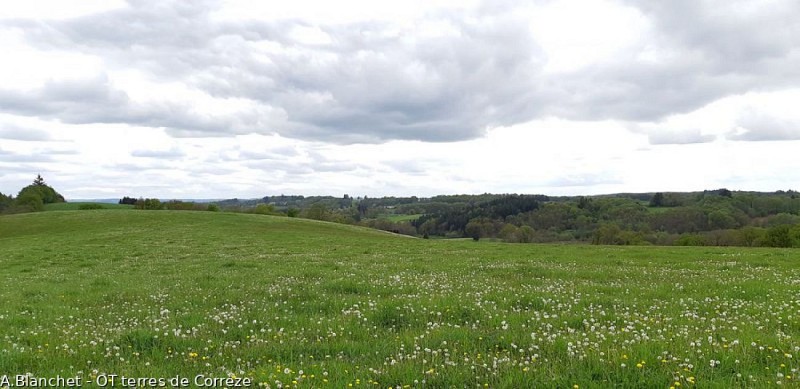 Point de vue sur le Massif des Monédières