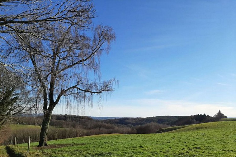 Point de vue sur le Massif des Monédières