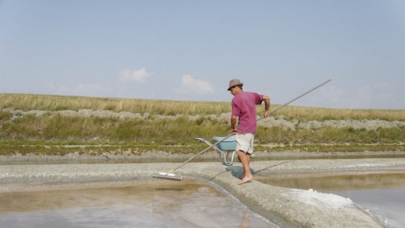 GAEC Vachement Salée