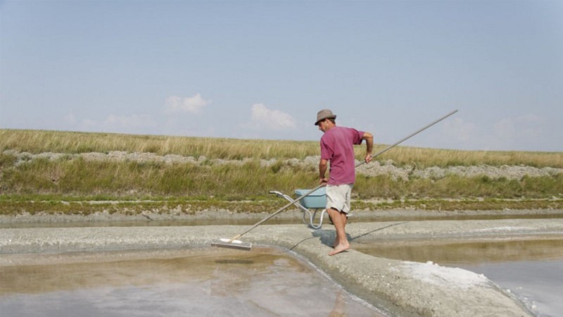 GAEC Vachement Salée