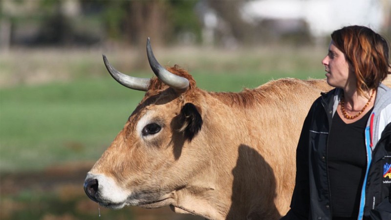 GAEC Vachement Salée