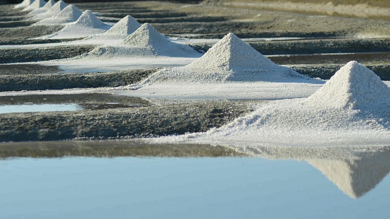 GAEC Vachement Salée