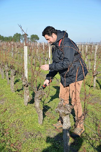 Château les Pâques