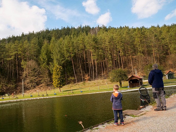 Étang de pêche werner