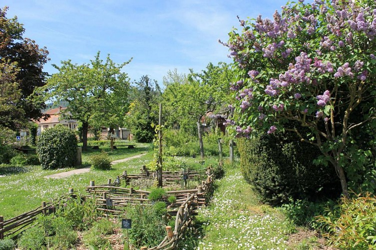 Jardin médiéval