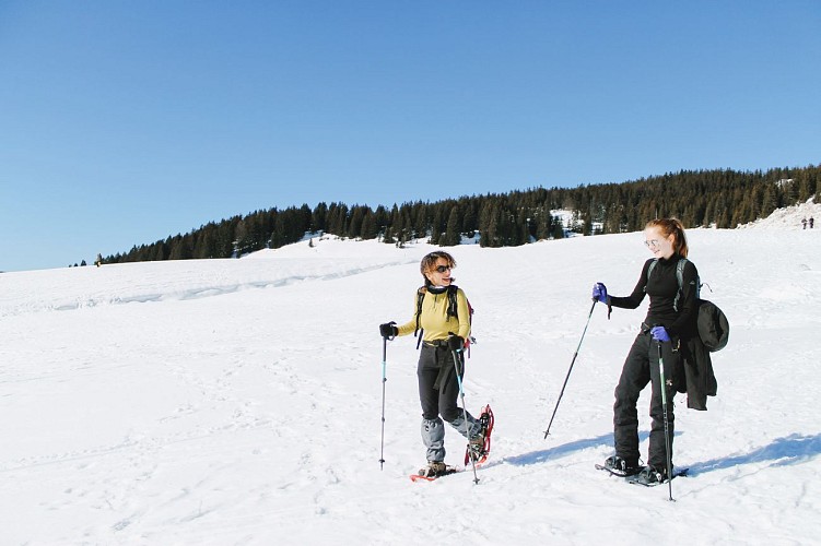 Nordic area - Plateau des Glières