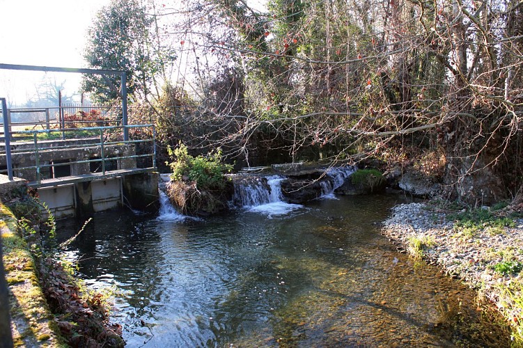 Ecluse du canal du moulin et petit parc au bord de l'Adour