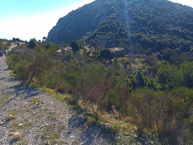 Vers le col de Verroux