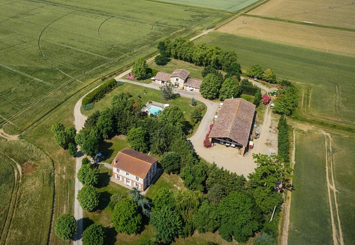 LA TOURASSE - LES BLÉS