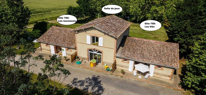 LA TOURASSE - LES BLÉS