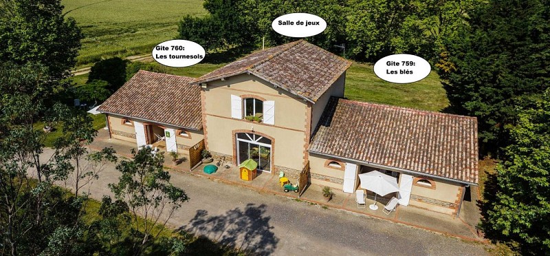 LA TOURASSE - LES TOURNESOLS