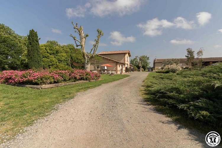 la Tourasse - Les Tournesols