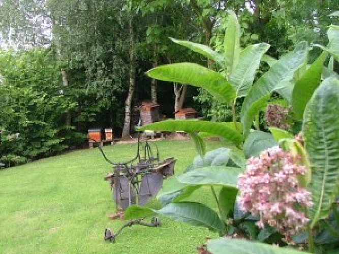 Jardin de plantes mellifères d'Histoire d'Abeille à Bouin Plumoison