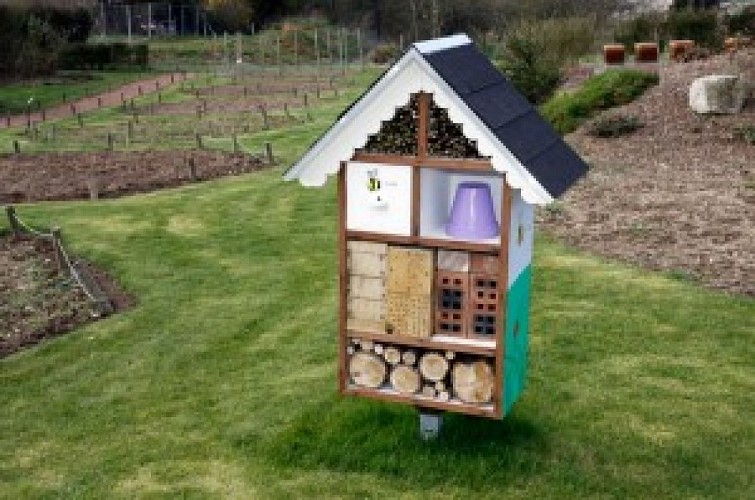 Jardin de plantes mellifères d'Histoire d'Abeille à Bouin Plumoison