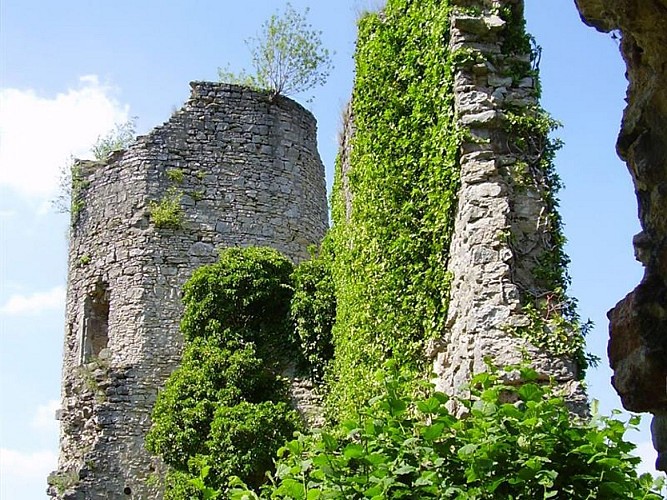 Château de Frauenberg