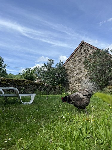 Gîte Le Fer à Cheval Vassivière